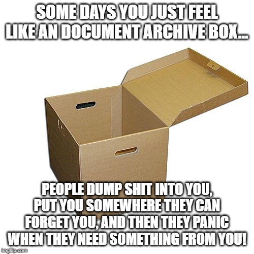 An Archive Box | SOME DAYS YOU JUST FEEL LIKE AN DOCUMENT ARCHIVE BOX... PEOPLE DUMP SHIT INTO YOU, PUT YOU SOMEWHERE THEY CAN FORGET YOU, AND THEN THEY PANIC WHEN THEY NEED SOMETHING FROM YOU! | image tagged in archive box,too much work | made w/ Imgflip meme maker