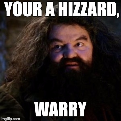 :P | YOUR A HIZZARD, WARRY | image tagged in you're a wizard harry | made w/ Imgflip meme maker