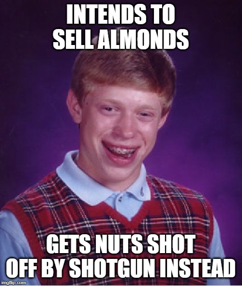 Bad Luck Brian Meme | INTENDS TO SELL ALMONDS GETS NUTS SHOT OFF BY SHOTGUN INSTEAD | image tagged in memes,bad luck brian | made w/ Imgflip meme maker