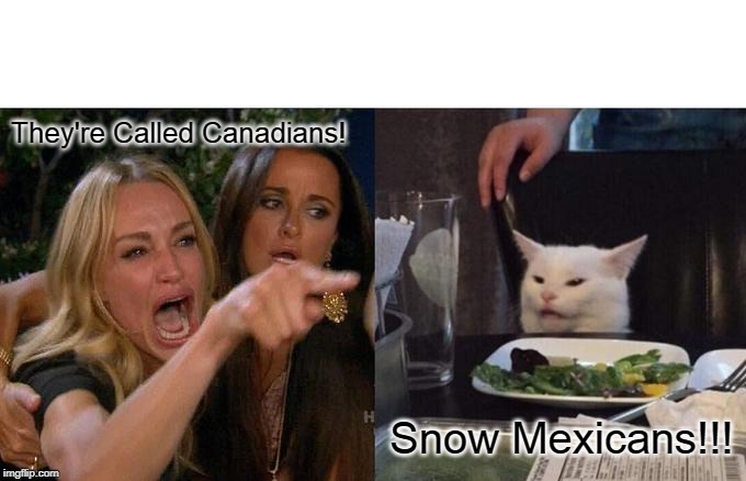 Woman Yelling At Cat | They're Called Canadians! Snow Mexicans!!! | image tagged in memes,woman yelling at cat | made w/ Imgflip meme maker