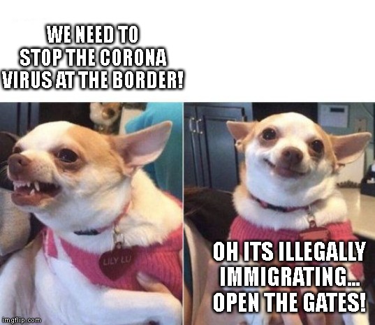 angry chihuahua happy chihuahua | WE NEED TO STOP THE CORONA VIRUS AT THE BORDER! OH ITS ILLEGALLY IMMIGRATING... OPEN THE GATES! | image tagged in angry chihuahua happy chihuahua | made w/ Imgflip meme maker