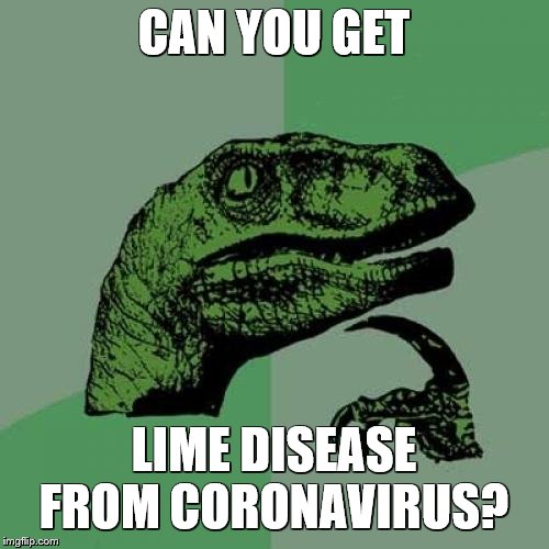 Philosoraptor Meme | CAN YOU GET LIME DISEASE FROM CORONAVIRUS? | image tagged in memes,philosoraptor | made w/ Imgflip meme maker