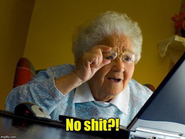 Old lady at computer finds the Internet | No shit?! | image tagged in old lady at computer finds the internet | made w/ Imgflip meme maker