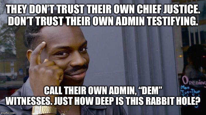 Roll Safe Think About It | THEY DON’T TRUST THEIR OWN CHIEF JUSTICE.  DON’T TRUST THEIR OWN ADMIN TESTIFYING. CALL THEIR OWN ADMIN, “DEM” WITNESSES. JUST HOW DEEP IS THIS RABBIT HOLE? | image tagged in memes,roll safe think about it | made w/ Imgflip meme maker