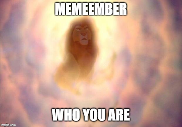 Remember the lion king | MEMEEMBER; WHO YOU ARE | image tagged in remember the lion king | made w/ Imgflip meme maker