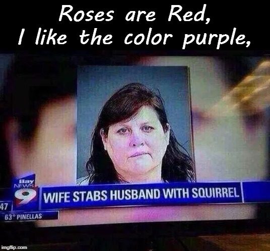 Roses are Red,
I like the color purple, | image tagged in poems,news,squirrel,oh wow are you actually reading these tags,stop reading the tags | made w/ Imgflip meme maker