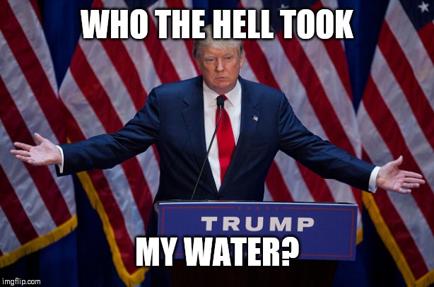 Donald Trump | WHO THE HELL TOOK; MY WATER? | image tagged in donald trump | made w/ Imgflip meme maker