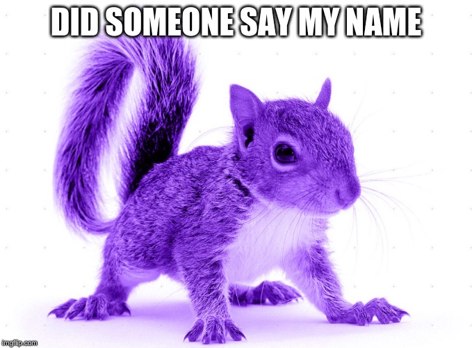 DID SOMEONE SAY MY NAME | made w/ Imgflip meme maker