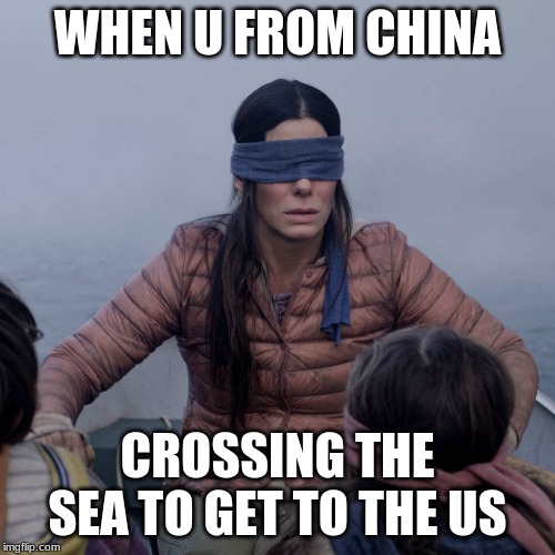 Bird Box | WHEN U FROM CHINA; CROSSING THE SEA TO GET TO THE US | image tagged in memes,bird box | made w/ Imgflip meme maker