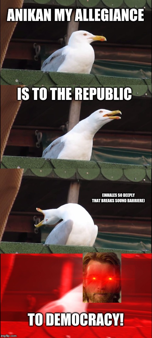 Inhaling Seagull | ANIKAN MY ALLEGIANCE; IS TO THE REPUBLIC; (INHALES SO DEEPLY THAT BREAKS SOUND BARRIERE); TO DEMOCRACY! | image tagged in memes,inhaling seagull,obi wan kenobi,god | made w/ Imgflip meme maker