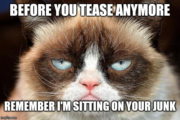Grumpy Cat Not Amused Meme | BEFORE YOU TEASE ANYMORE; REMEMBER I'M SITTING ON YOUR JUNK | image tagged in memes,grumpy cat not amused,grumpy cat | made w/ Imgflip meme maker