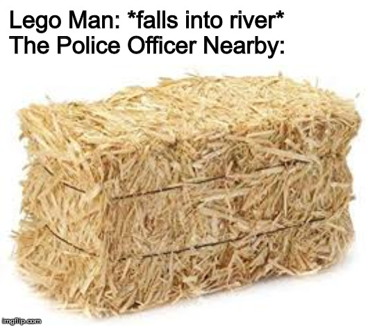 Lego Man: *falls into river*
The Police Officer Nearby: | image tagged in memes | made w/ Imgflip meme maker