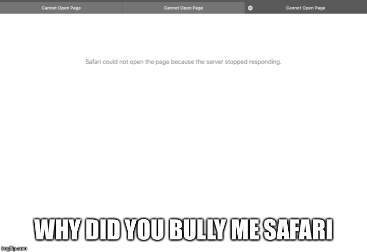 Cannot open page | WHY DID YOU BULLY ME SAFARI | image tagged in internet | made w/ Imgflip meme maker