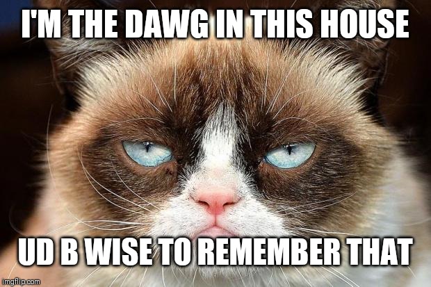 Grumpy Cat Not Amused Meme | I'M THE DAWG IN THIS HOUSE; UD B WISE TO REMEMBER THAT | image tagged in memes,grumpy cat not amused,grumpy cat | made w/ Imgflip meme maker