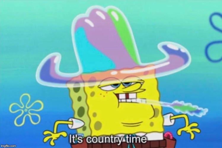 It's country time | image tagged in it's country time | made w/ Imgflip meme maker