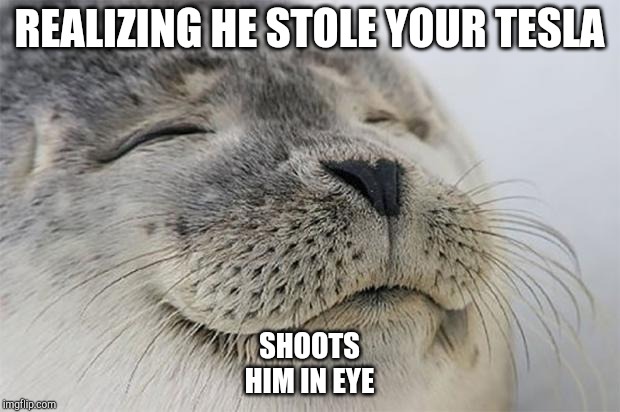 Satisfied Seal | REALIZING HE STOLE YOUR TESLA; SHOOTS HIM IN EYE | image tagged in memes,satisfied seal | made w/ Imgflip meme maker