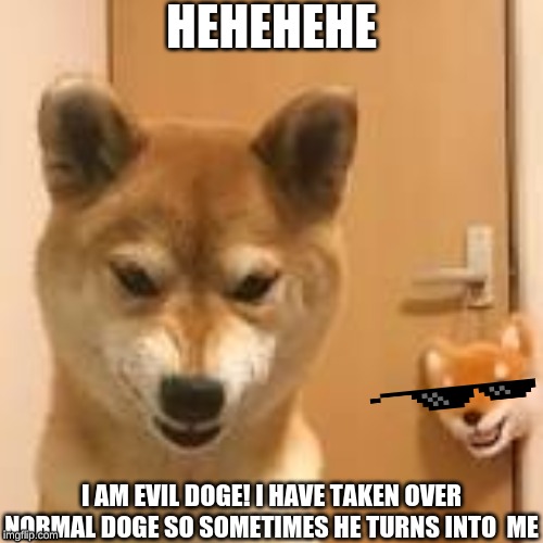 HEHEHEHE; I AM EVIL DOGE! I HAVE TAKEN OVER NORMAL DOGE SO SOMETIMES HE TURNS INTO  ME | made w/ Imgflip meme maker