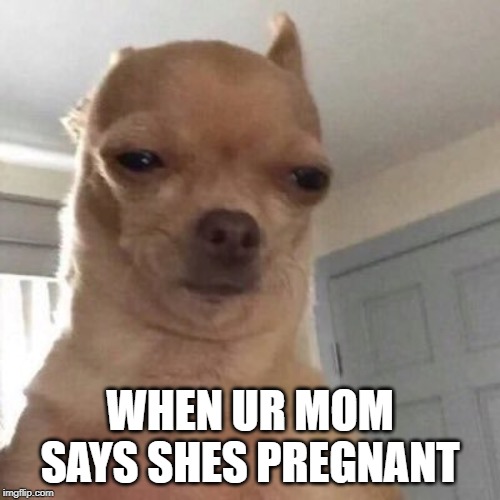 WHEN UR MOM SAYS SHES PREGNANT | image tagged in dog | made w/ Imgflip meme maker