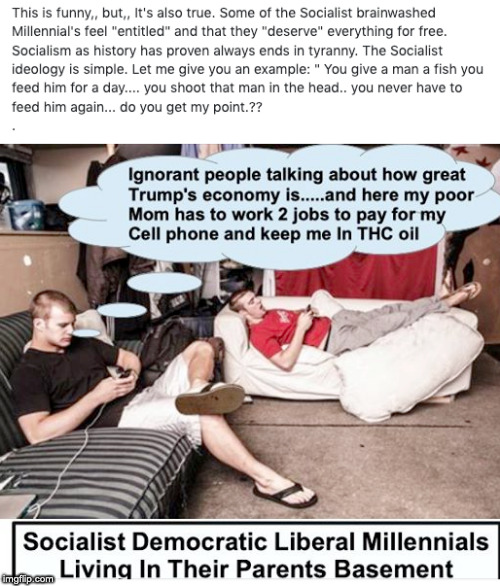 image tagged in socialism,millennials,democratic socialism,socialists,liberal millenials | made w/ Imgflip meme maker