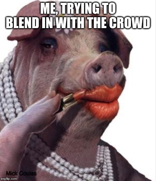 Lipstick on a pig | ME, TRYING TO BLEND IN WITH THE CROWD | image tagged in lipstick on a pig | made w/ Imgflip meme maker