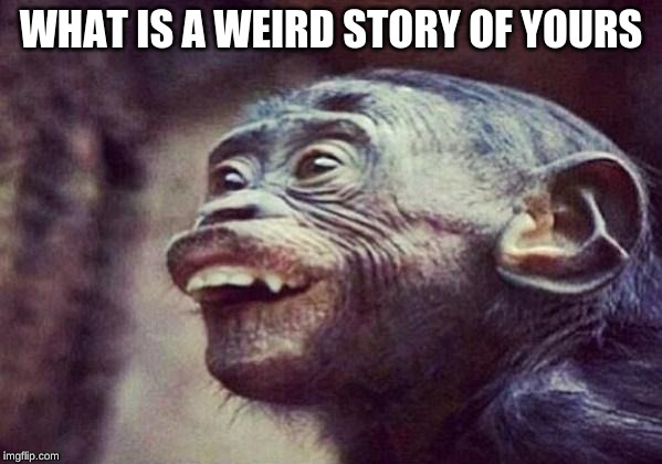 sarcasticmonkey | WHAT IS A WEIRD STORY OF YOURS | image tagged in sarcasticmonkey | made w/ Imgflip meme maker