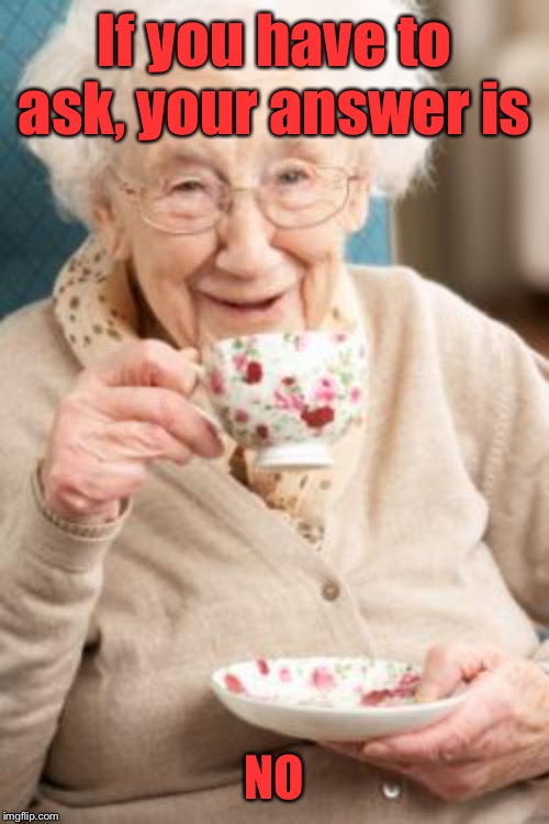 Old lady drinking tea | If you have to ask, your answer is NO | image tagged in old lady drinking tea | made w/ Imgflip meme maker