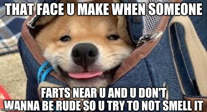 THAT FACE U MAKE WHEN SOMEONE; FARTS NEAR U AND U DON'T WANNA BE RUDE SO U TRY TO NOT SMELL IT | made w/ Imgflip meme maker