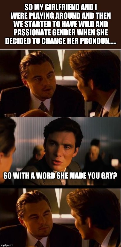 Sex and Gender are not interchangeable. Make pronouns accurate again! | SO MY GIRLFRIEND AND I WERE PLAYING AROUND AND THEN WE STARTED TO HAVE WILD AND PASSIONATE GENDER WHEN SHE DECIDED TO CHANGE HER PRONOUN..... SO WITH A WORD SHE MADE YOU GAY? | image tagged in memes,inception | made w/ Imgflip meme maker
