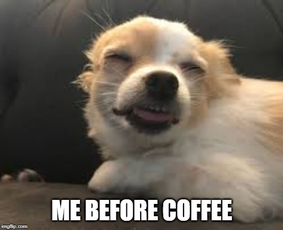 ME BEFORE COFFEE | image tagged in dogs | made w/ Imgflip meme maker