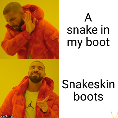 Drake Hotline Bling Meme | A snake in my boot; Snakeskin boots | image tagged in memes,drake hotline bling | made w/ Imgflip meme maker