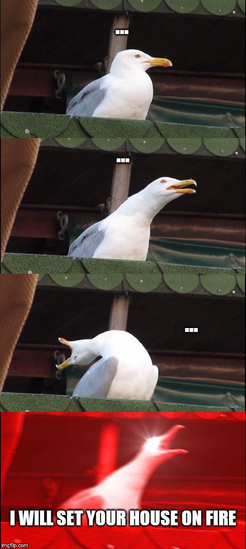 Inhaling Seagull Meme | ... ... ... I WILL SET YOUR HOUSE ON FIRE | image tagged in memes,inhaling seagull | made w/ Imgflip meme maker