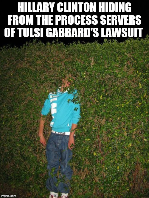 Tulsi's not on suicide watch | HILLARY CLINTON HIDING FROM THE PROCESS SERVERS OF TULSI GABBARD'S LAWSUIT | image tagged in hide and seek | made w/ Imgflip meme maker