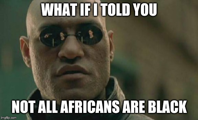 Matrix Morpheus | WHAT IF I TOLD YOU; NOT ALL AFRICANS ARE BLACK | image tagged in memes,matrix morpheus | made w/ Imgflip meme maker
