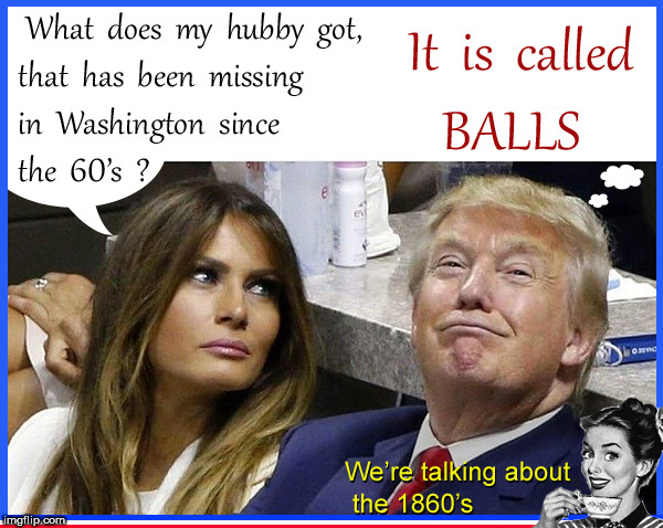 balls...Balls.....BALLS.....BALLS !!!!!!!!!!! | image tagged in balls,republicans,donald trump,melania trump,political meme,lol so funny | made w/ Imgflip meme maker