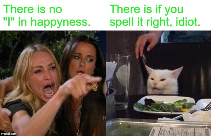 Woman Yelling At Cat | There is no "I" in happyness. There is if you spell it right, idiot. | image tagged in memes,woman yelling at cat | made w/ Imgflip meme maker