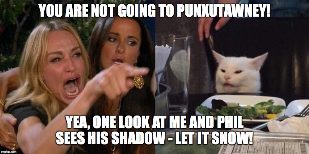 Woman yelling at cat | YOU ARE NOT GOING TO PUNXUTAWNEY! YEA, ONE LOOK AT ME AND PHIL SEES HIS SHADOW - LET IT SNOW! | image tagged in woman yelling at cat | made w/ Imgflip meme maker