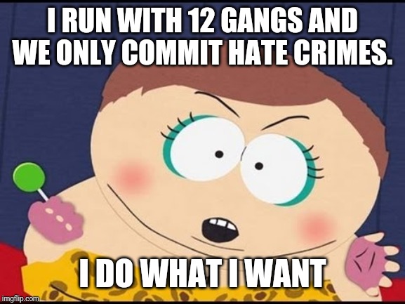 Whateva | I RUN WITH 12 GANGS AND WE ONLY COMMIT HATE CRIMES. I DO WHAT I WANT | image tagged in what eva i do what i want | made w/ Imgflip meme maker