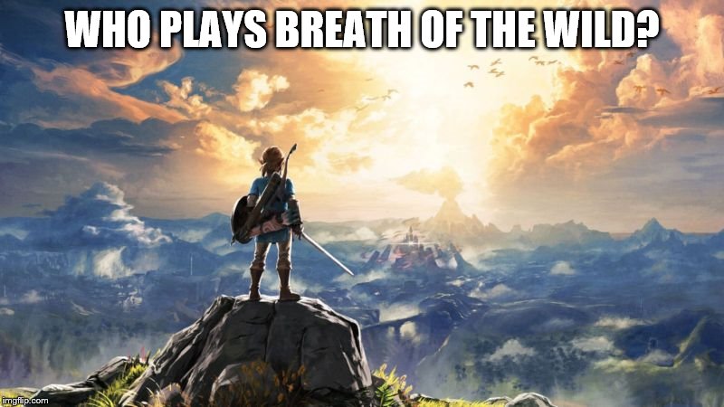 I Do | WHO PLAYS BREATH OF THE WILD? | image tagged in breath of the wild | made w/ Imgflip meme maker