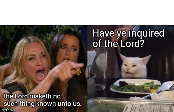 1 Nephi 15:8-9 |  Have ye inquired of the Lord? the Lord maketh no such thing known unto us. | image tagged in memes,woman yelling at cat,book of mormon,lds | made w/ Imgflip meme maker
