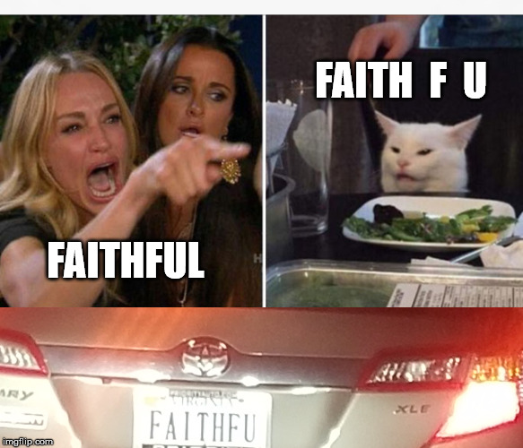 FAITH  F  U; FAITHFUL | image tagged in drunk lady and cat | made w/ Imgflip meme maker