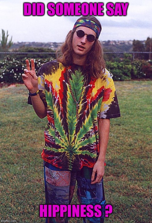 Hippie | DID SOMEONE SAY HIPPINESS ? | image tagged in hippie | made w/ Imgflip meme maker