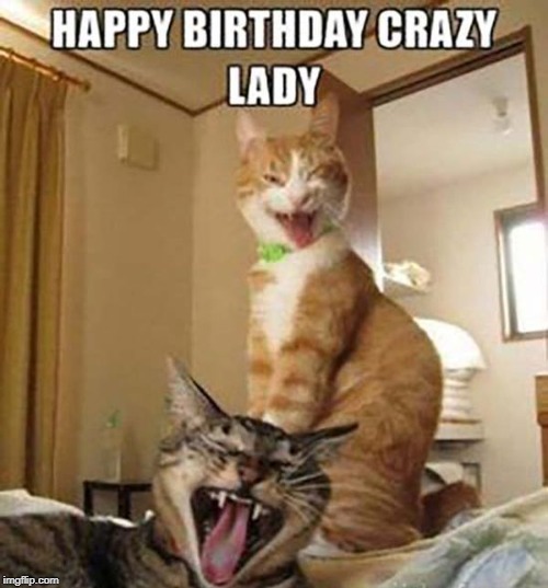 crazy lady | image tagged in crazy cat lady,cat humor | made w/ Imgflip meme maker