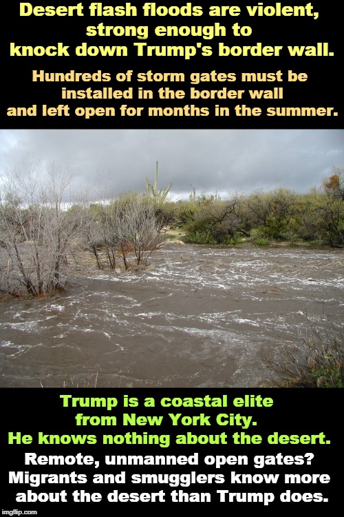 High winds have already blown down part of Trump's wall. Desert floods are next. Trump is raiding military funding for this. | Desert flash floods are violent, 
strong enough to 
knock down Trump's border wall. Hundreds of storm gates must be 
installed in the border wall and left open for months in the summer. Trump is a coastal elite 
from New York City. 
He knows nothing about the desert. Remote, unmanned open gates? 
Migrants and smugglers know more 
about the desert than Trump does. | image tagged in desert flash floods can knock down trump's border wall,trump,border wall,flood,wind,waste of money | made w/ Imgflip meme maker