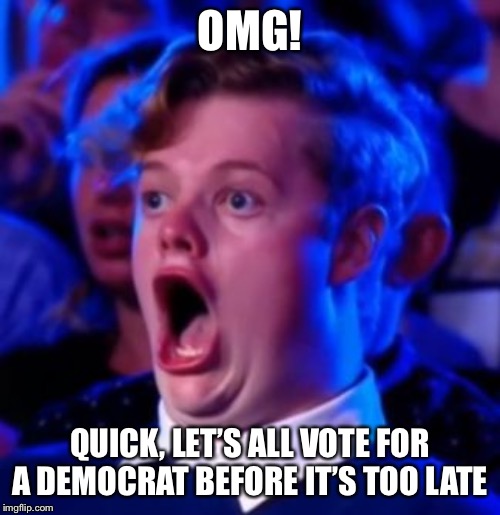OMG | OMG! QUICK, LET’S ALL VOTE FOR A DEMOCRAT BEFORE IT’S TOO LATE | image tagged in omg | made w/ Imgflip meme maker