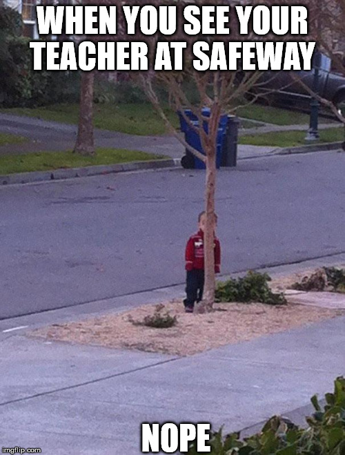WHEN YOU SEE YOUR TEACHER AT SAFEWAY; NOPE | image tagged in hiding,teacher,nope nope nope | made w/ Imgflip meme maker