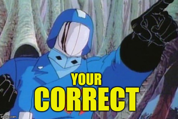 Cobra Commander | YOUR CORRECT | image tagged in cobra commander | made w/ Imgflip meme maker