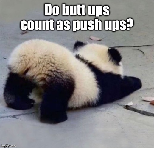 Do butt ups count as push ups? | made w/ Imgflip meme maker