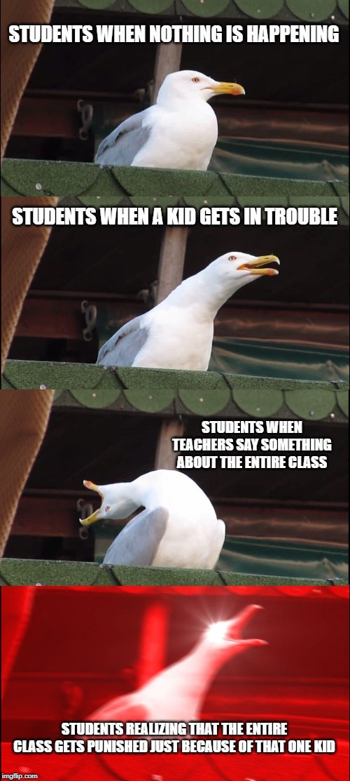Inhaling Seagull | STUDENTS WHEN NOTHING IS HAPPENING; STUDENTS WHEN A KID GETS IN TROUBLE; STUDENTS WHEN TEACHERS SAY SOMETHING ABOUT THE ENTIRE CLASS; STUDENTS REALIZING THAT THE ENTIRE CLASS GETS PUNISHED JUST BECAUSE OF THAT ONE KID | image tagged in memes,inhaling seagull | made w/ Imgflip meme maker