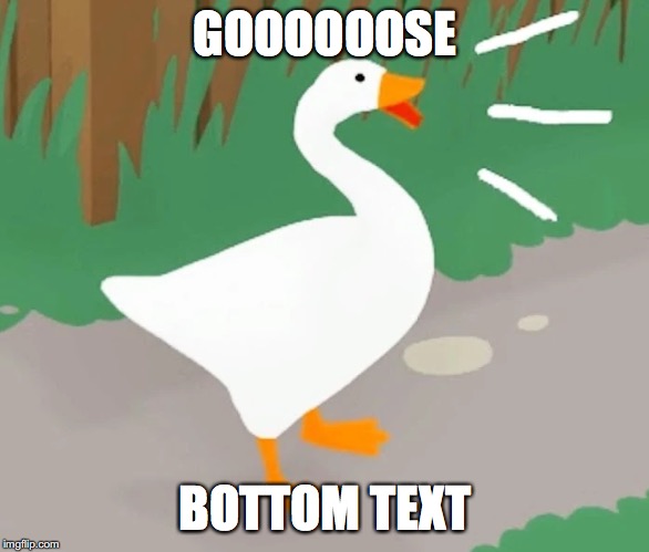 hjonk hjonk am goose | GOOOOOOSE; BOTTOM TEXT | image tagged in hjonk hjonk am goose | made w/ Imgflip meme maker