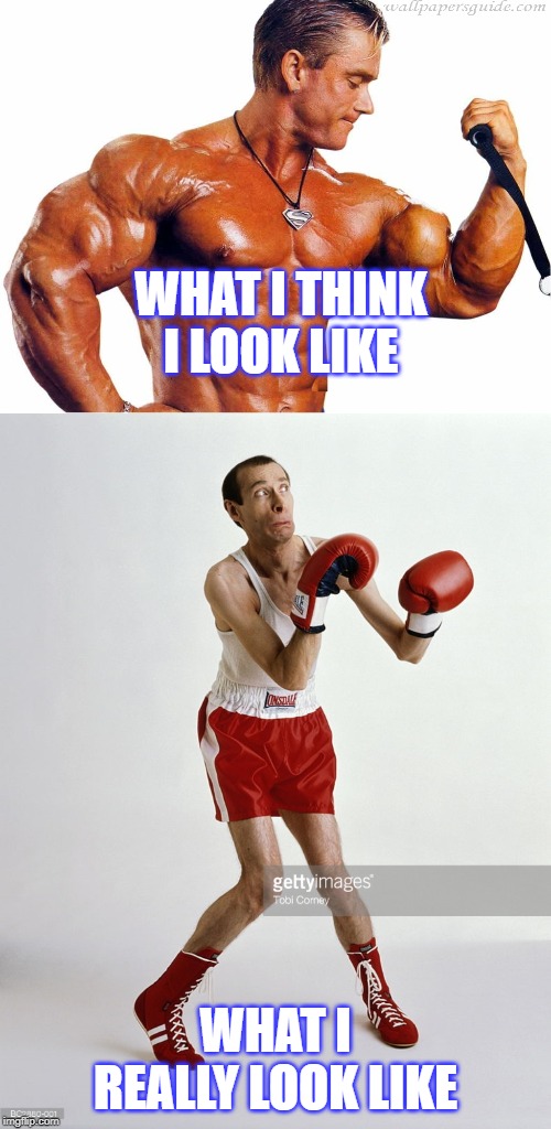WHAT I THINK I LOOK LIKE; WHAT I REALLY LOOK LIKE | image tagged in body builder,puny man | made w/ Imgflip meme maker